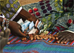 Traditional savings and credit facility