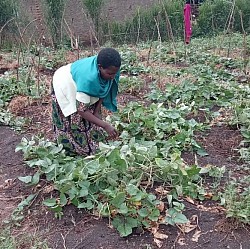 Agriculture is part of us