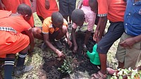Christ the king junior school Learners planting tree