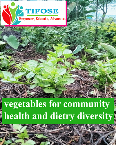 Kitchen demonstration garden